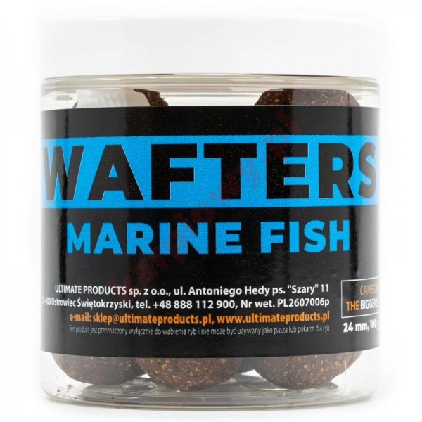 Kulki Marine Fish Wafters 24mm
