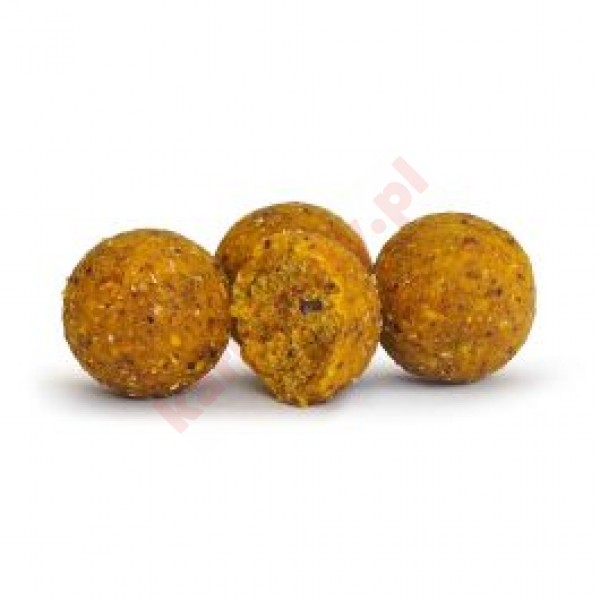 Kulki Euro 22mm 1kg Orzech TYgrysi