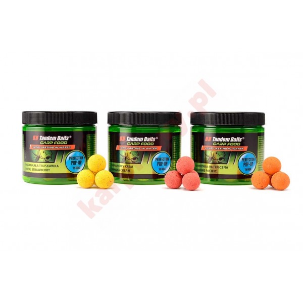 Kulki Carp Food Perfection Pop-Up 16mm/70g Japońska Kałamarnica