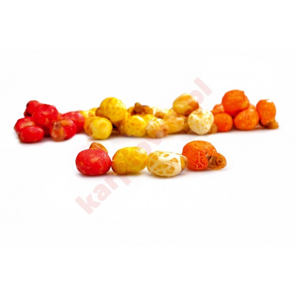 Kukurydza dmuchana master mix 25 g / scopex