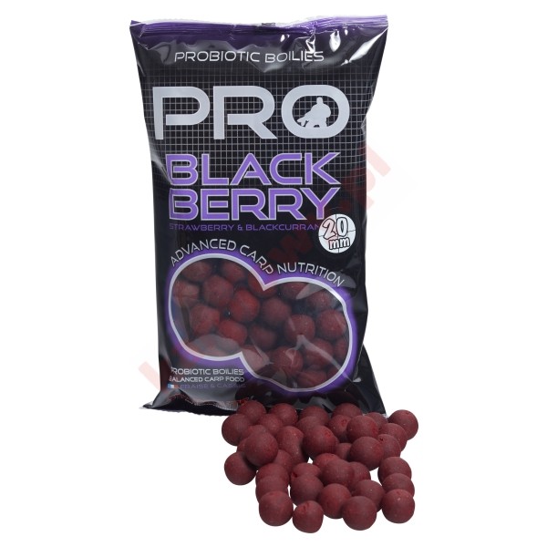 Kulki PRO Blackberry 20mm 800g