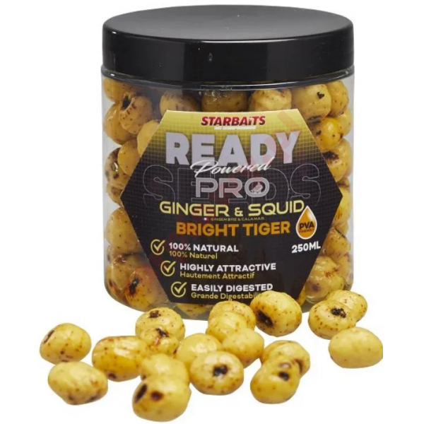 Ziarna Ready Bright Tiger Ginger Squid 250ml