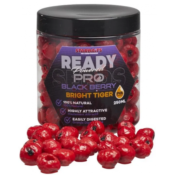 Ziarna Ready Bright Tiger Blackberry 250ml