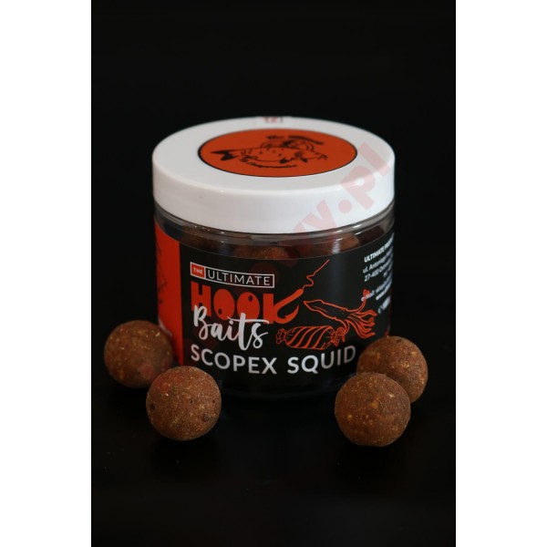 Kulki Hook Baits  Scopex Squid 24mm