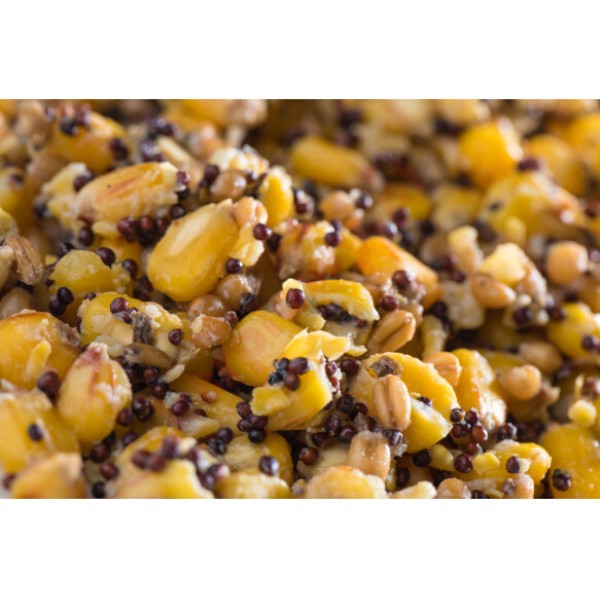 Ziarna Mix 1 kg