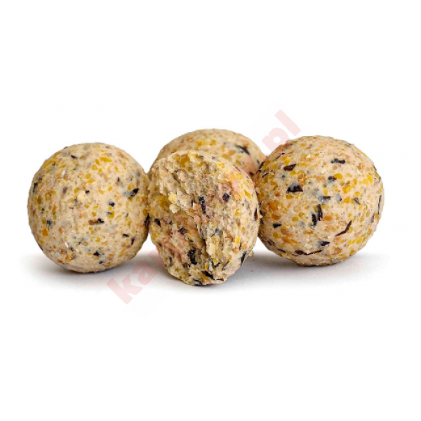 Kulki Euro Boilies 16mm/10kg Czosnek 