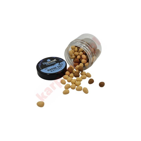 Wafters Egg Marine