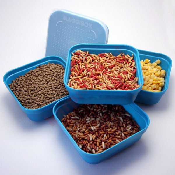 Pudełko - maggibox blue 1,87l