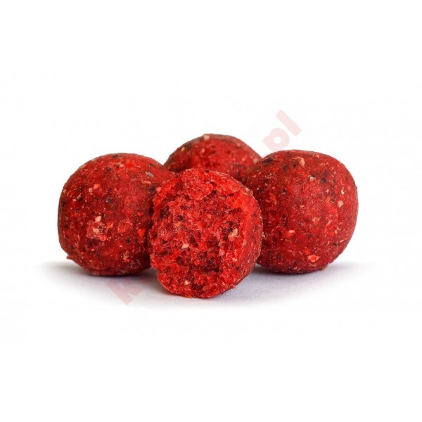 Kulki euro boilies 16mm morwa 10kg