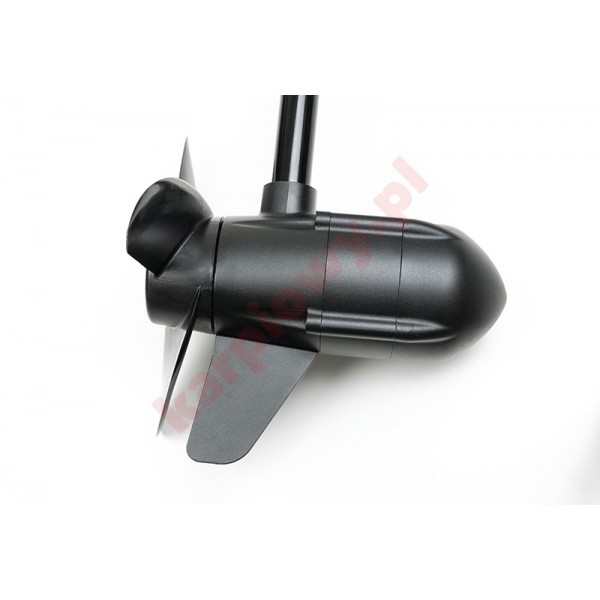 Silnik 80lb 12v BL Engine
