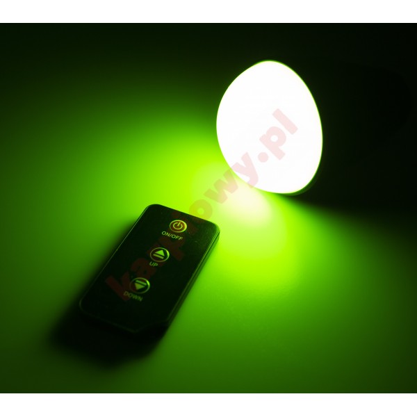 Lampka R1