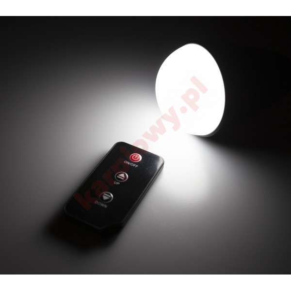 Lampka R1
