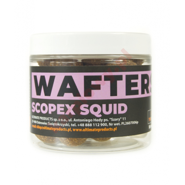 Kulki Wafters Scopex Squid 20mm 
